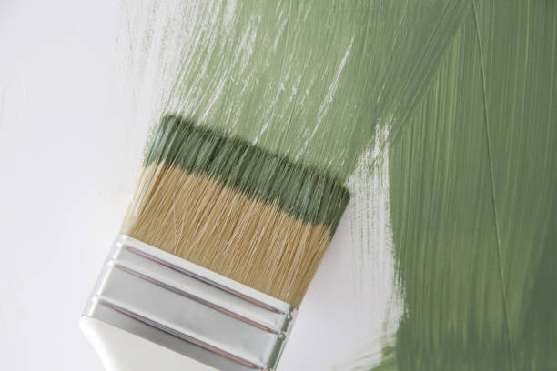  Munhall, PA Mold Removal Pros