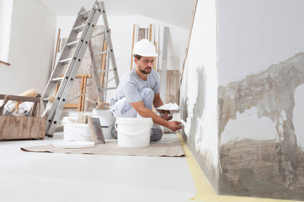 Best Industrial Mold Remediation  in Munhall, PA