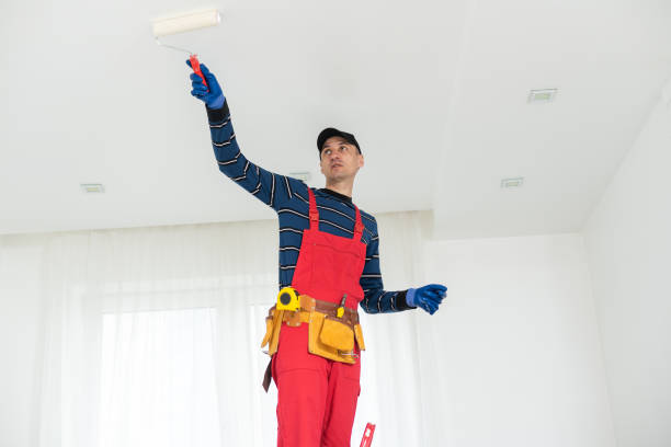 Best Mold Prevention Services  in Munhall, PA
