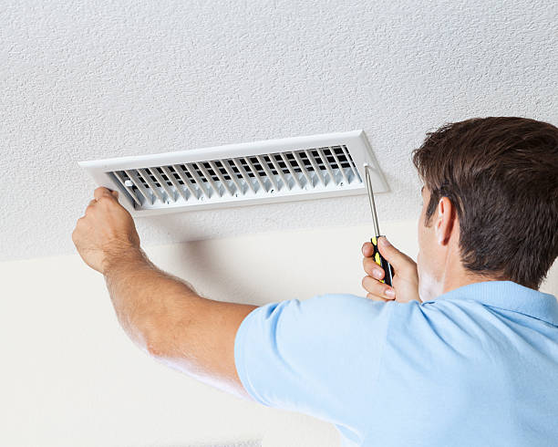 Munhall, PA Mold Removal Company