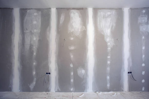 Best Asbestos and Lead Testing During Mold Inspection  in Munhall, PA